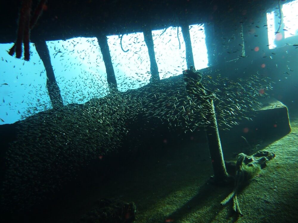 Bateaux, et avion, de nombreux vestiges sous-marin à découvrir