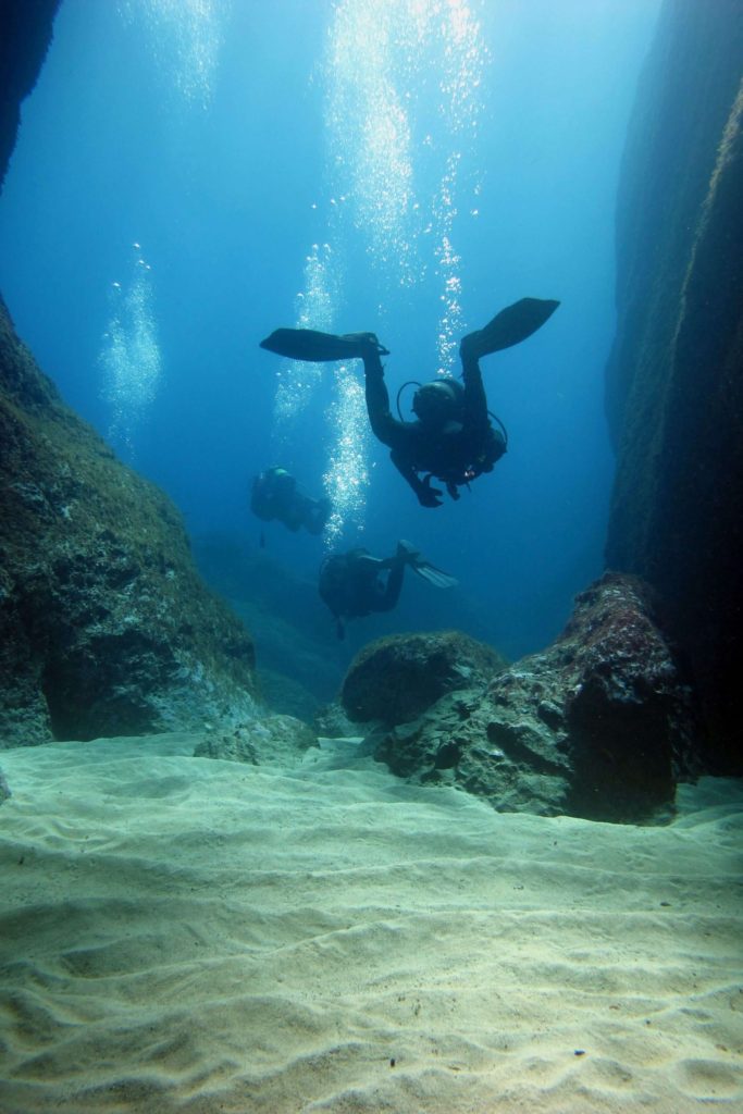 Div15 | Une Plongée En Pleine Réserve Marine ? Dune Baléares Fornells ( Diving Center) Sans Hésiter | Bons Plans Minorque